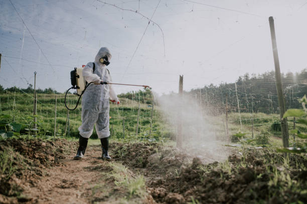 Best Pest Removal Services  in Boronda, CA