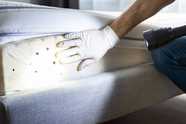 Best Cockroach Control Services  in Boronda, CA