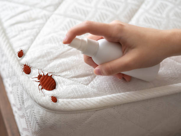 Best Local Pest Control Services  in Boronda, CA